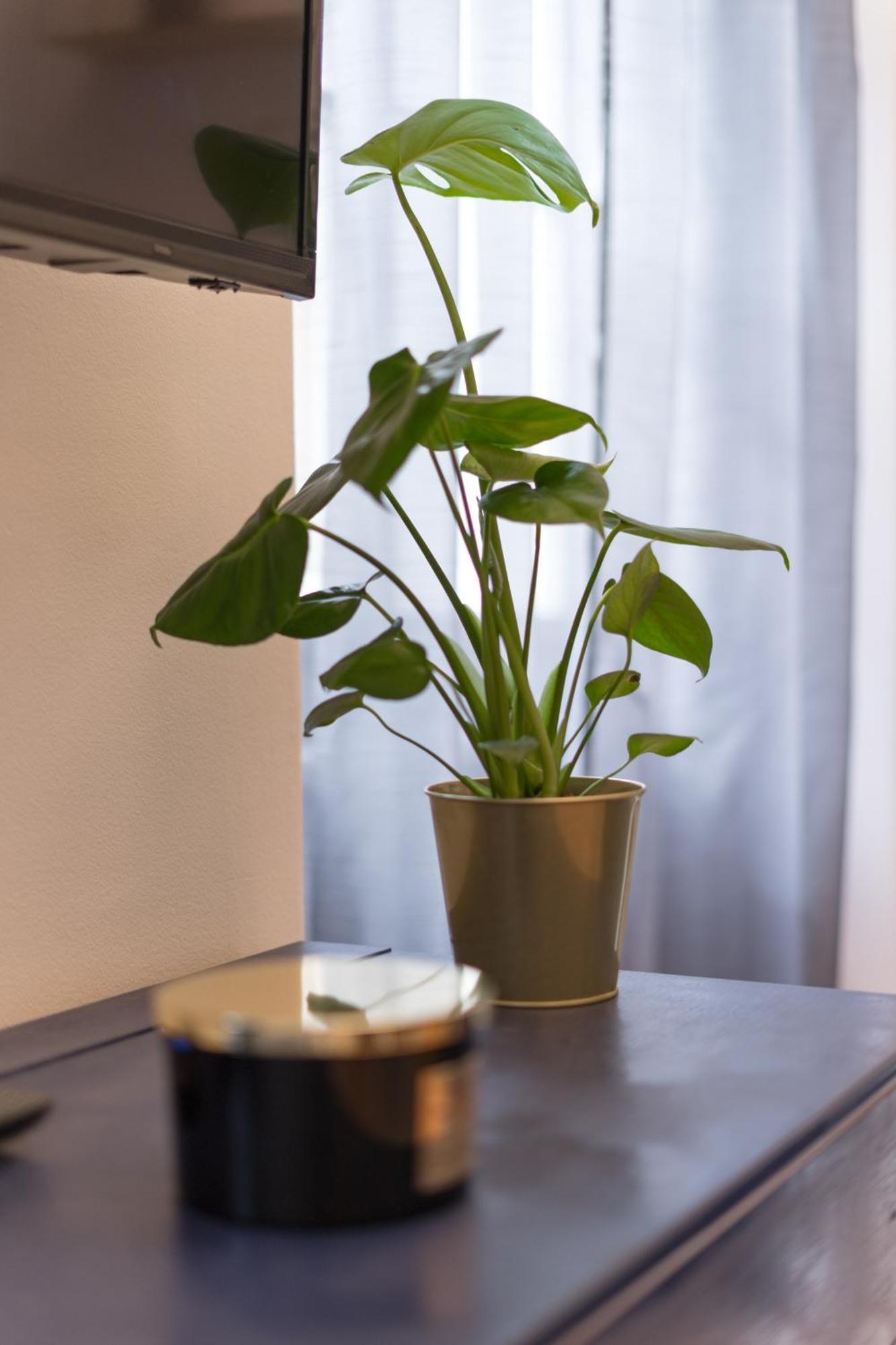 Magnolia Apartment Zagreb Ngoại thất bức ảnh